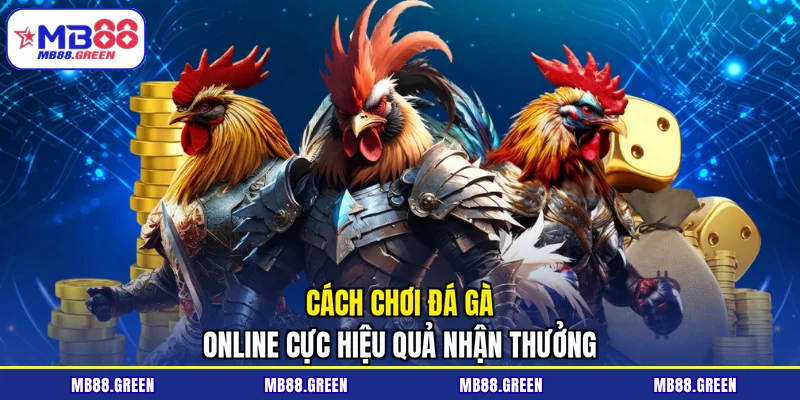 Cách chơi đá gà online cực hiệu quả nhận thưởng