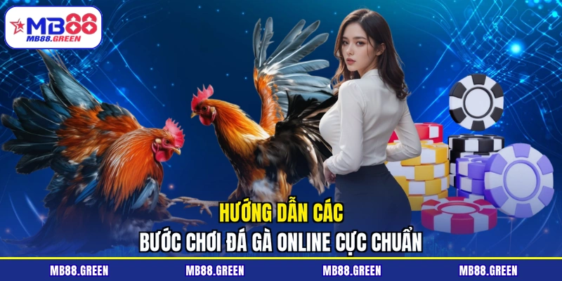 Hướng dẫn các bước chơi đá gà online cực chuẩn
