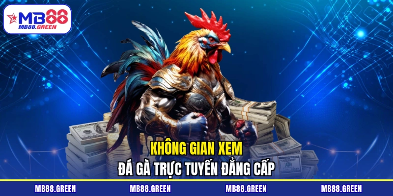Không gian xem đá gà trực tuyến đẳng cấp 