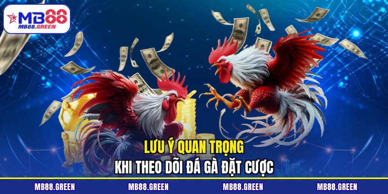Lưu ý quan trọng khi theo dõi đá gà đặt cược